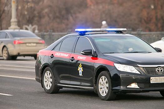 Силовики проводят обыски в департаменте сельского хозяйства Севастополя