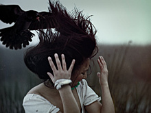 Женщина обратилась в больницу после нападения вороны в Наро-Фоминске