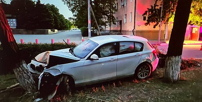 В Ростовской области водитель сбил дорожный знак и врезался в дерево