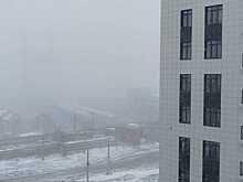 В Новосибирске Россреестр сообщил о регистрации недвижимости за один день