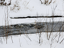Специалисты спрогнозировали поздний приход ледостава на Оби из-за теплой погоды