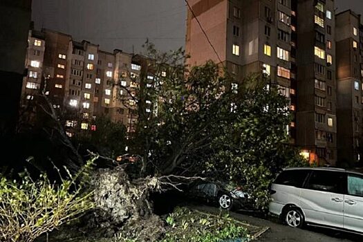 «Поломает крыши»: синоптик об опасности нового шторма в столичном регионе