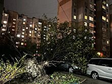 «Поломает крыши»: синоптик об опасности нового шторма в столичном регионе