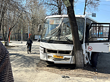 Маршрутка в Кемерове влетела в дерево около остановки