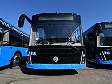 В Подмосковье водитель автобуса спас мальчика от пьяного мужчины