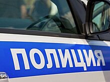 В Москве задержан владелец турагентства за обман клиентов на 3,8 млн рублей