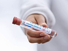 В Южной Корее за сутки выявили более 400 случаев заражения коронавирусом