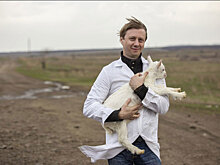 Как ростовский строитель стал производить козье молоко