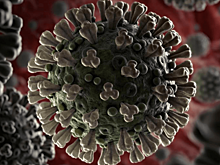 Россиянам стали предлагать страховку от коронавируса
