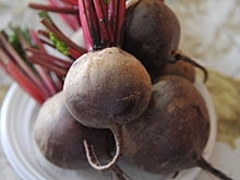 Назван необычный способ получить пользу от доступного овоща