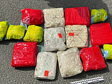 Распространение более 25 кг «синтетики» в разных регионах страны пресекла полиция Санкт-Петербурга