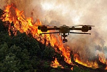 Чувашия закупит 11 беспилотников для мониторинга лесов