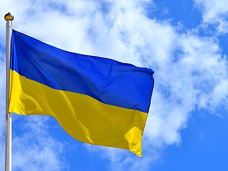 В Киеве заявили, что Украина хочет унизить Германию поставками оружия из Британии