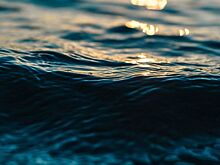 В Ростовской области расчистят более 17 км реки Быстрой