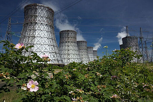 Покупатели электроэнергии просят правительство отложить запуски АЭС