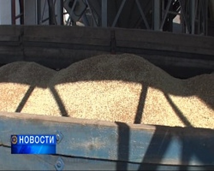 В Минсельхозе республики аграриям рекомендуют не продавать зерно до установления хороших цен