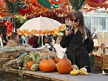 Россиянам рассказали о последних днях осенней «жары»