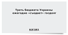 Треть бюджета Украины ежегодно «съедает» госдолг