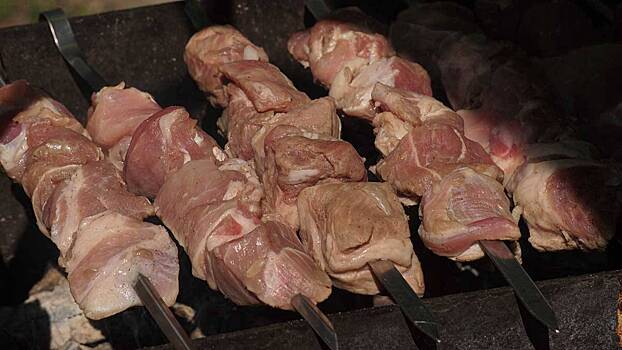 Женщина чуть не погибла от кусочка шашлыка в Подмосковье