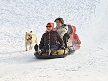 Горки, катки и лыжные трассы: какие зимние развлечения будут доступны в Москве