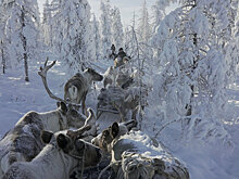 "Великий Северный путь": режиссер повторил путь Семена Дежнева