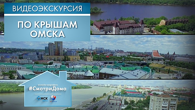 История, которая живёт на крышах