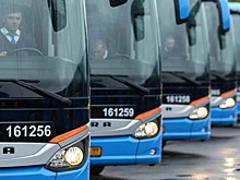 От «Северных Ворот» будут ежедневно ходить автобусы до Витебска