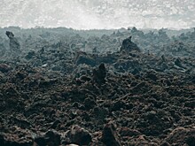 Какой необычный «трофей» был у солдат Гитлера