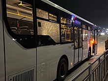 Разгромивших автобус в Артеме подростков отправят под стражу