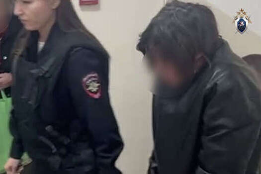 В Подмосковье арестовали женщину, которая сожгла соседку вместе с квартирой