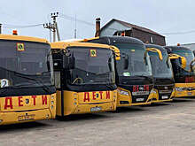 Техническую исправность 465 школьных автобусов проверили в Подмосковье