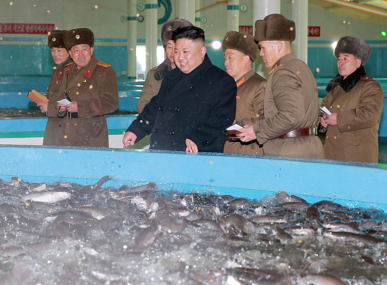 Руководитель КНДР Ким Чен Ын заинтересовался рыбоводством. По информации агентства ЦТАК, он посетил модернизированную ферму по разведению сомов