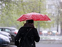 МЧС предупредило жителей Москвы и Подмосковья об опасности