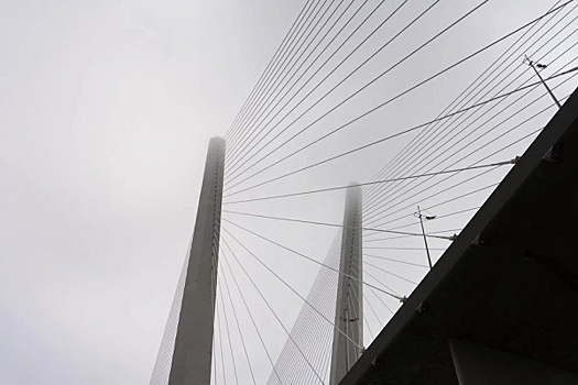 Во имя безопасности: нижегородский Мызинский мост подсветят прожекторами