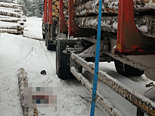 Гибель водителя лесовоза в Нижегородской области обернулась уголовным делом