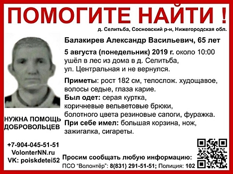 65-летний Александр Балакирев пропал в Нижегородской области