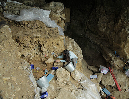 «Плодотворное международное сотрудничество помогает получать важные научные данные»