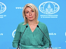 Захарова отреагировала на ЧП с застрявшими в Японии косатками