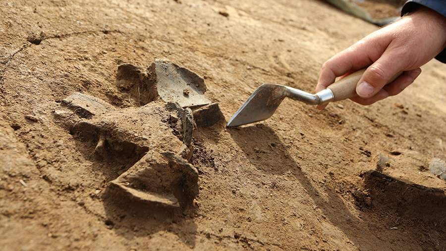 Yle: учёные нашли кольцо шведской королевы в гробнице под крысиным гнездом