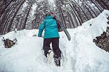 Вышел туристический гид по главным местам и событиям в Московской области