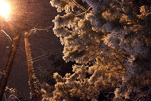 В Самарской области 7 февраля ожидается сильный ветер и снег