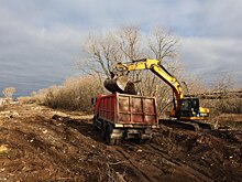 Около 2 млн рублей будет направлено на ликвидацию свалки вблизи Автозаводского шоссе