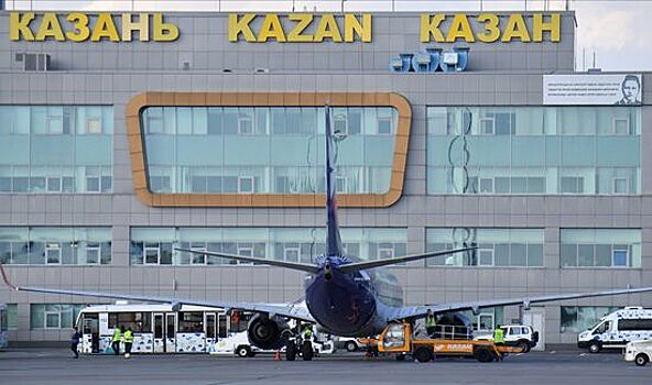 В российском аэропорту самолет сбил насмерть животное во время взлета