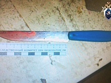 Раскрыта переписка убитой любовницы главы Раменского района Московской области