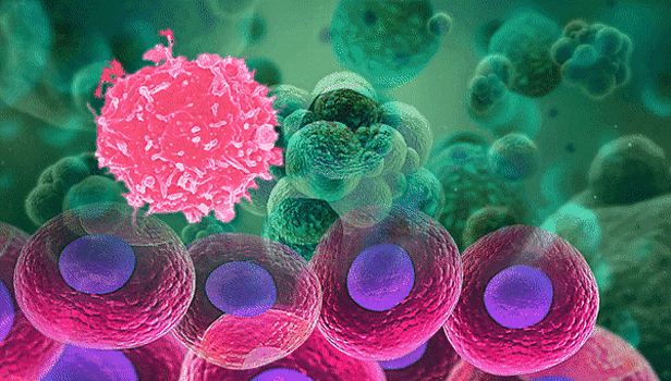 Ученые выяснили, как иммунитет может убивать организм