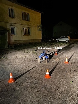 В Черняховском районе восьмилетний мальчик перевернулся на квадроцикле