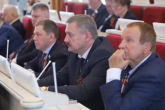 Депутаты Архангельской области приняли законы, защищающие детей
