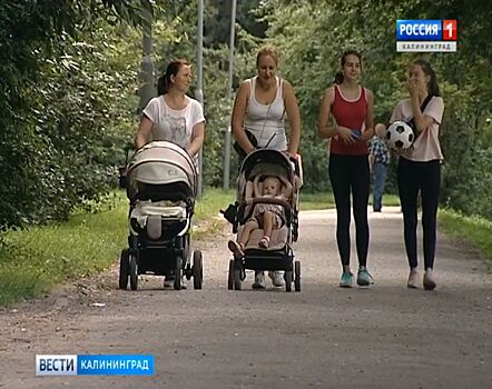 В Калининградской области выделили дополнительные средства на компенсацию многодетным семьям