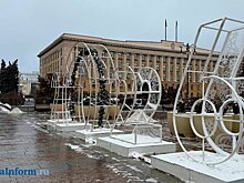 Стала известна стоимость демонтажа новогодних арт-объектов в Пензе