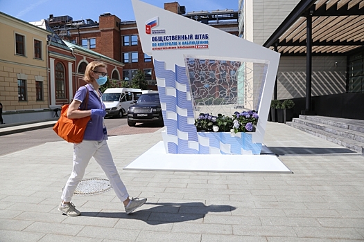 Массух: Более миллиона человек приняли участие в электронном голосовании по поправкам в Конституцию